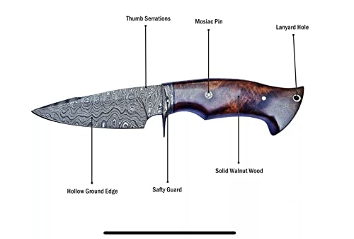 Poshland BC-1107 Custom Handmade Damascus Steel 10-Inch Knife